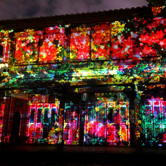 板橋林家花園「蝶舞光綴」_ 光雕投影