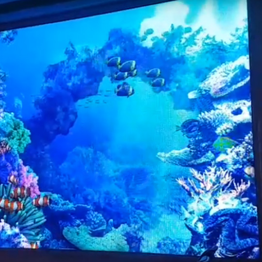 VR虛擬實境水族箱